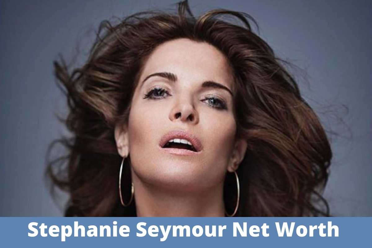 Stephanie Seymour Net Worth