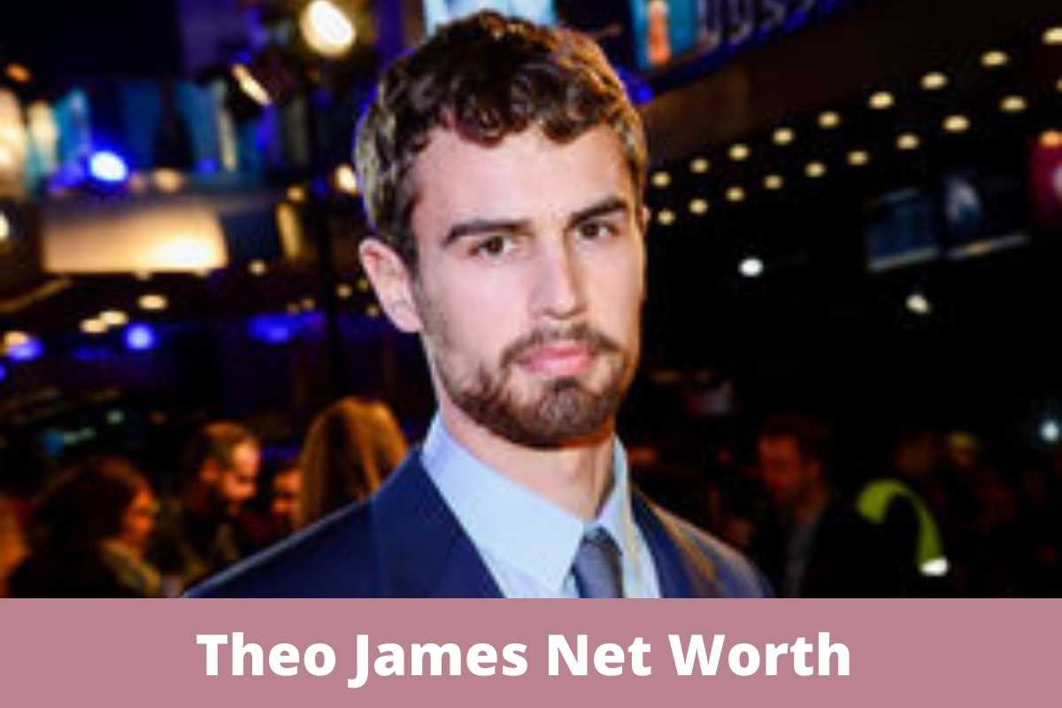 Theo James Net Worth