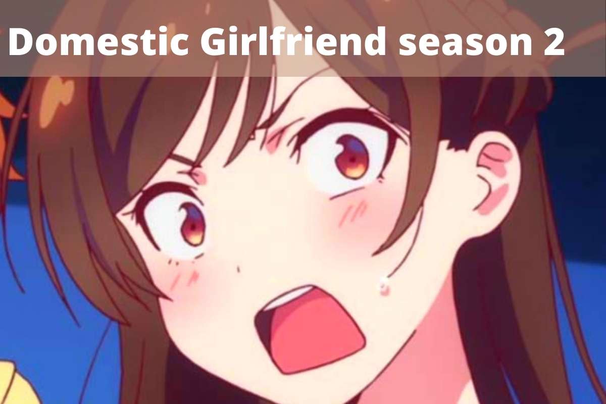 Domestic Girlfriend Season 2: Release Date (Anime)