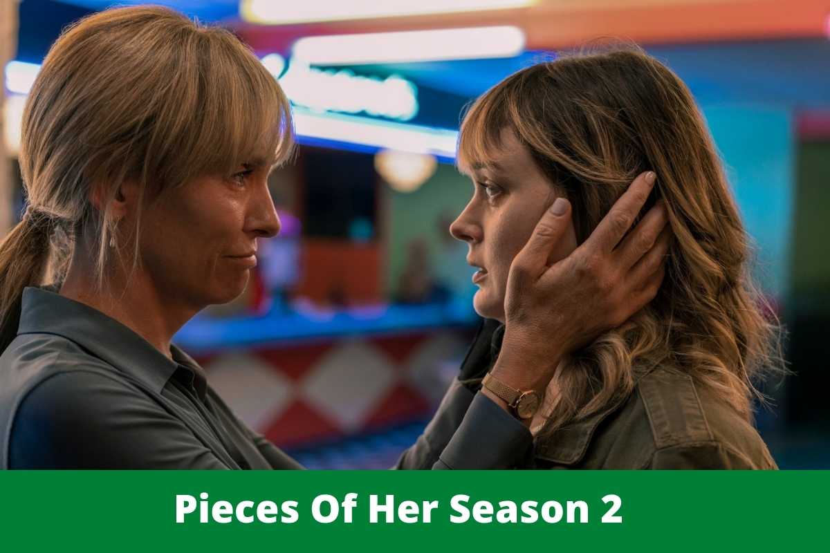 Pieces Of Her Season 2