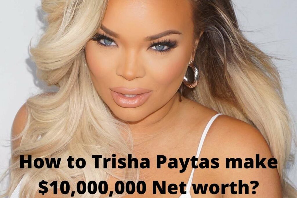 How much does trisha paytas make