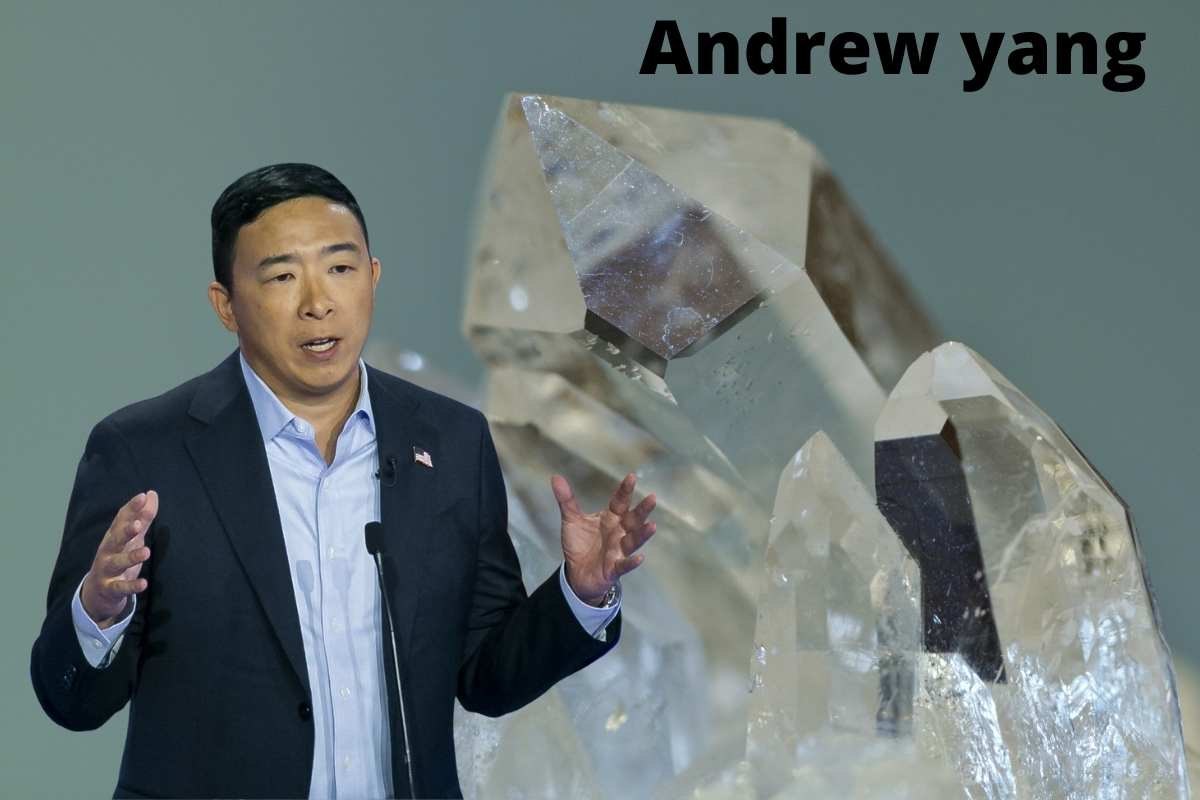 Andrew yang net worth, Occupation $ Latest News…