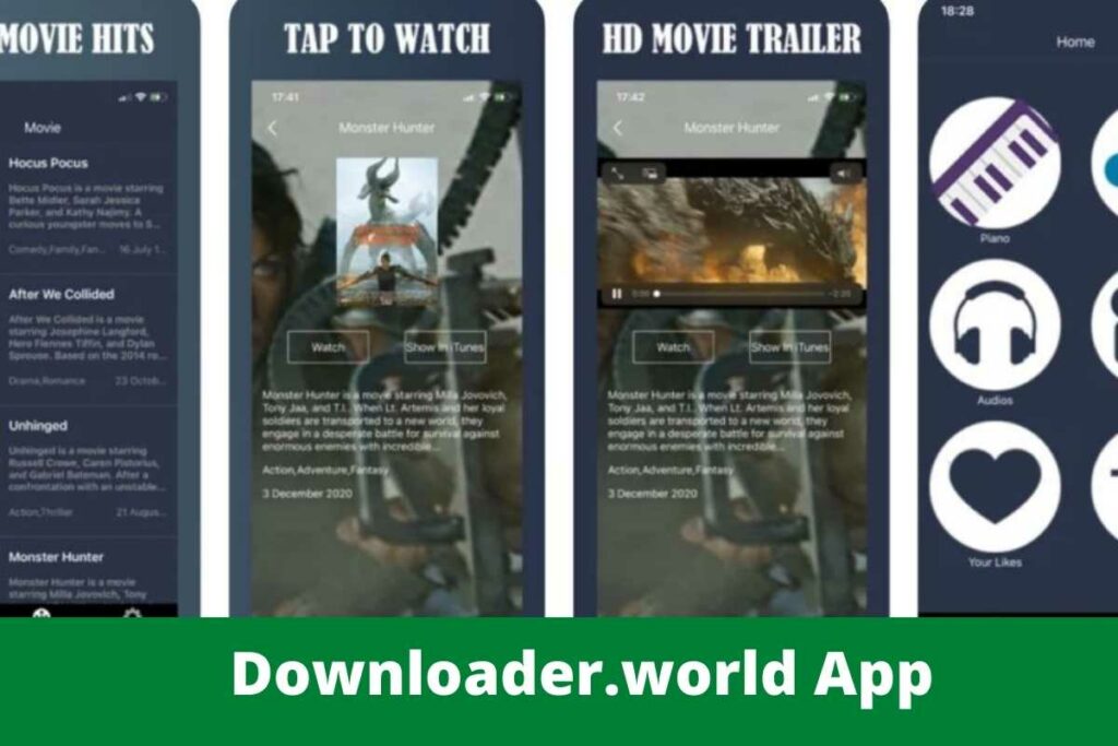 Downloader.world App