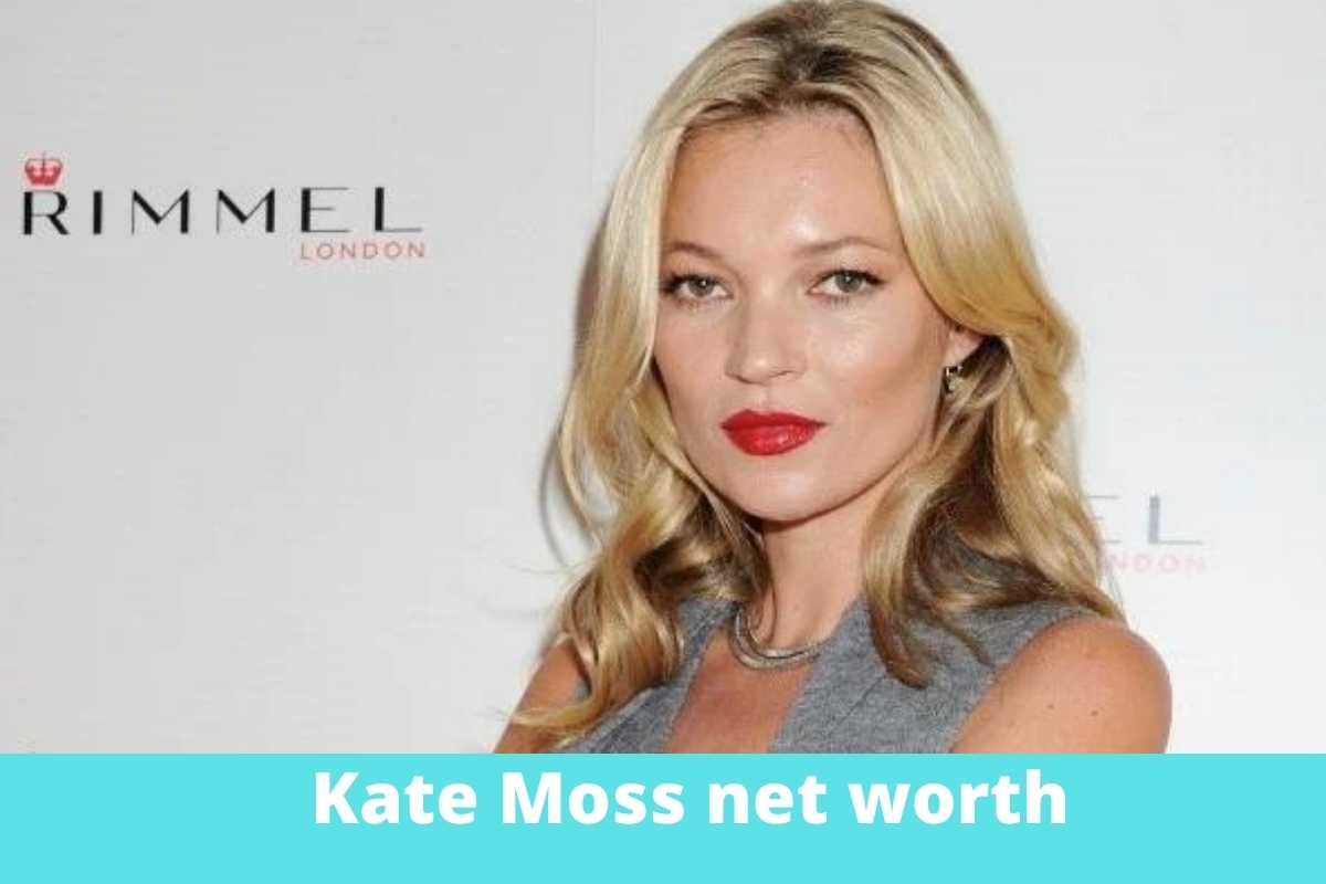 Kate Moss net worth