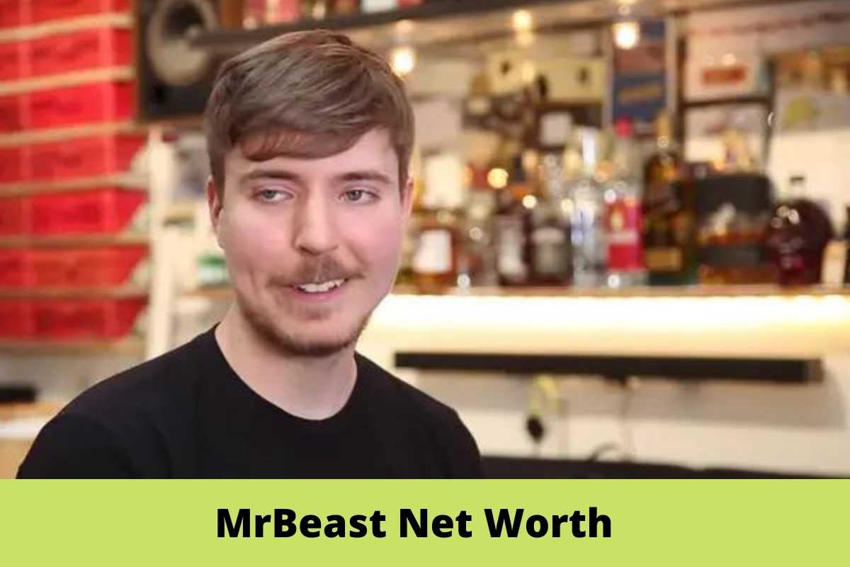 MrBeast Net Worth