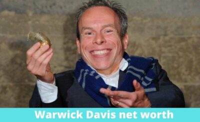 Warwick Davis net worth
