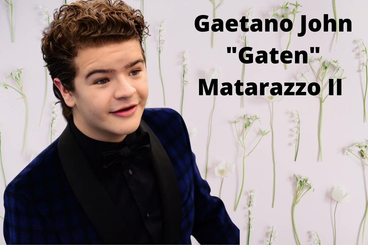 Gaten-Matarazzos-Net-Worth
