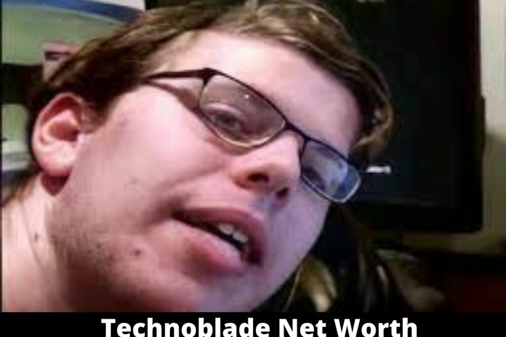 Technoblade Net Worth