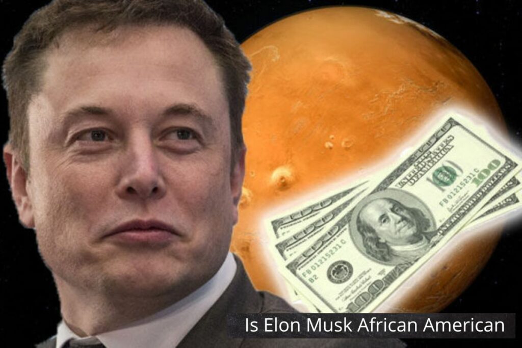 Is Elon Musk African American