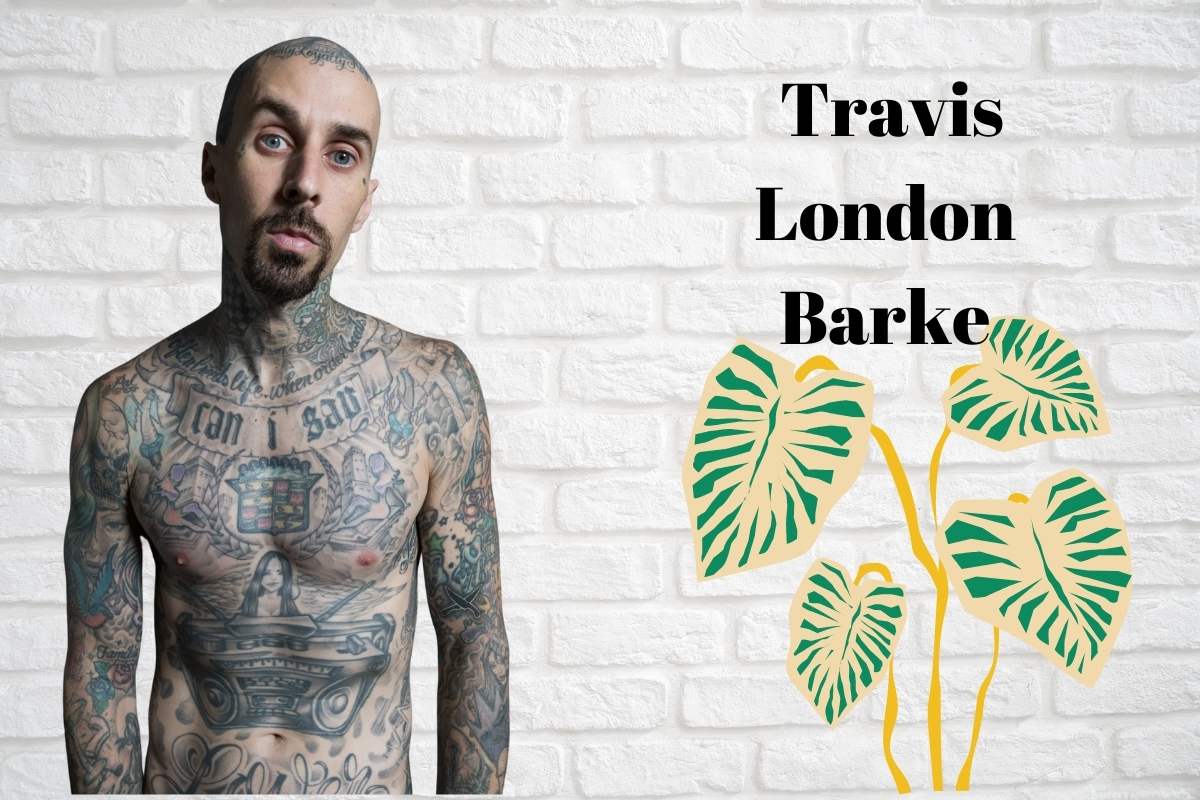 Travis Barker's Net Worth, Career, Early Life, and Other Details