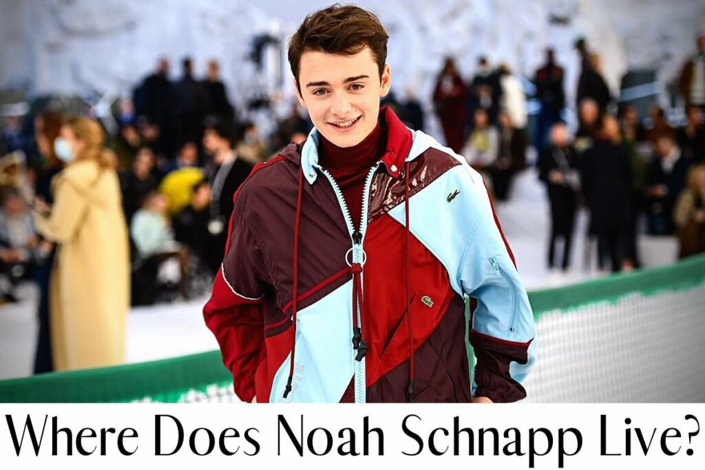 Where Does Noah Schnapp Live?