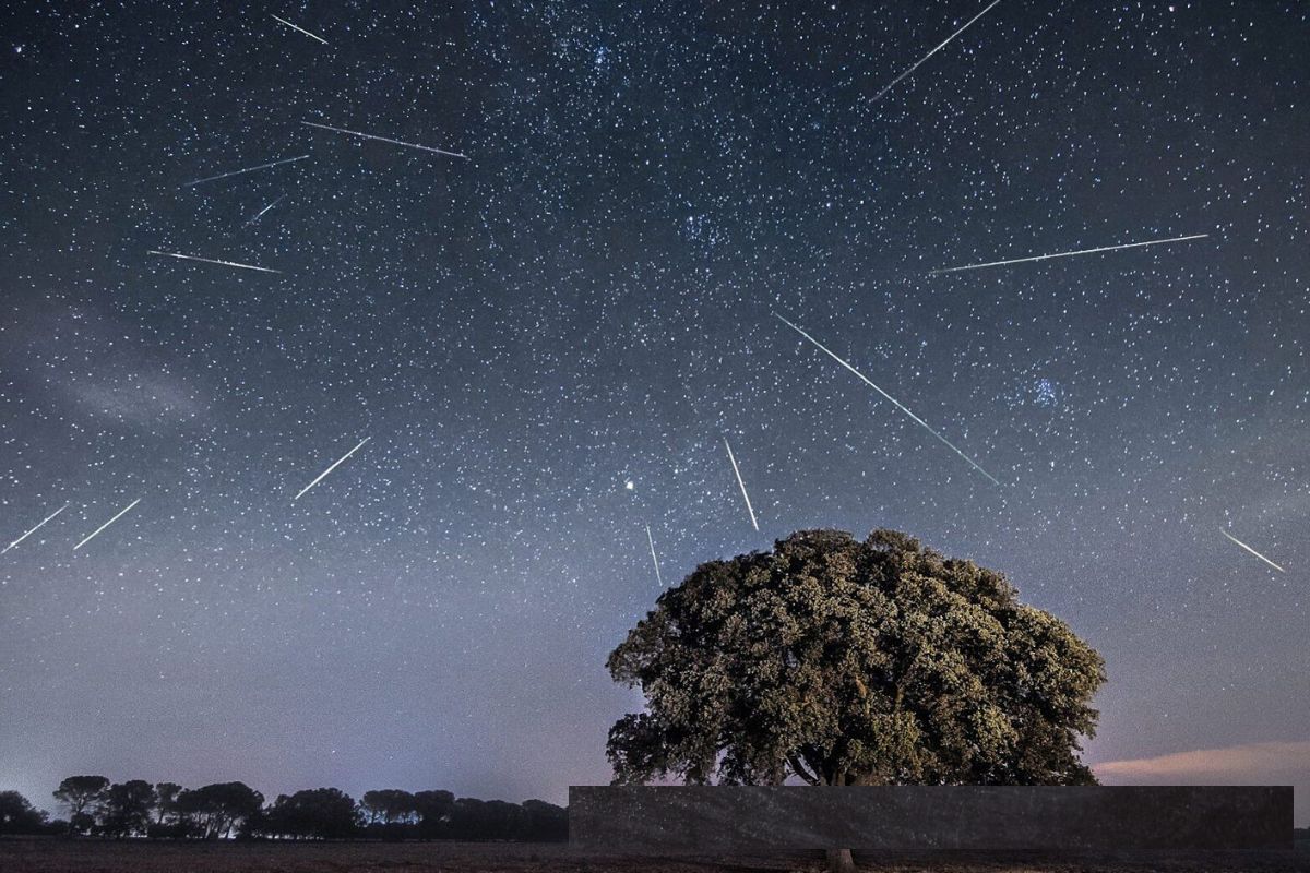 Where To Look For Perseids