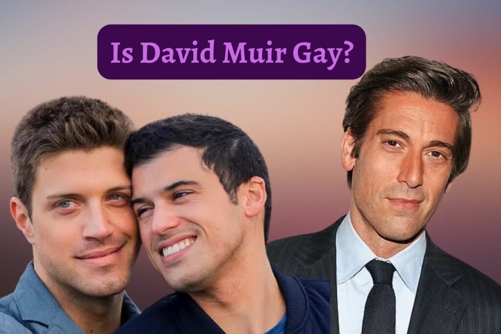 Is David Muir Gay?