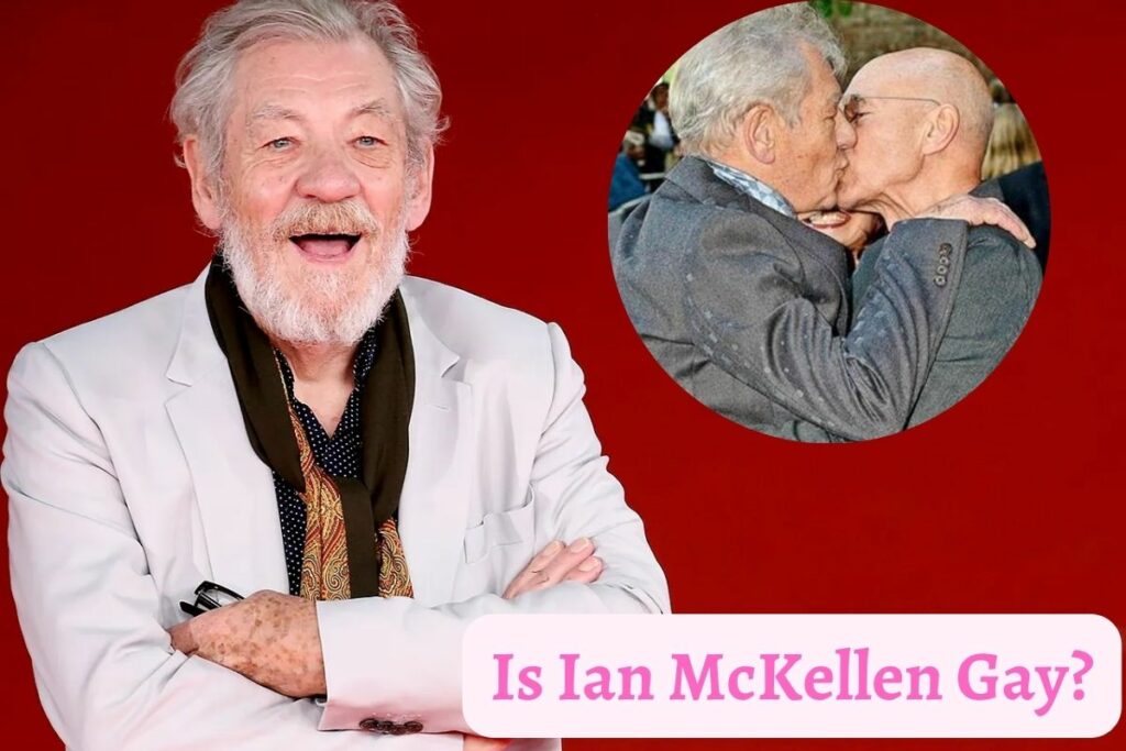 Is Ian McKellen Gay?