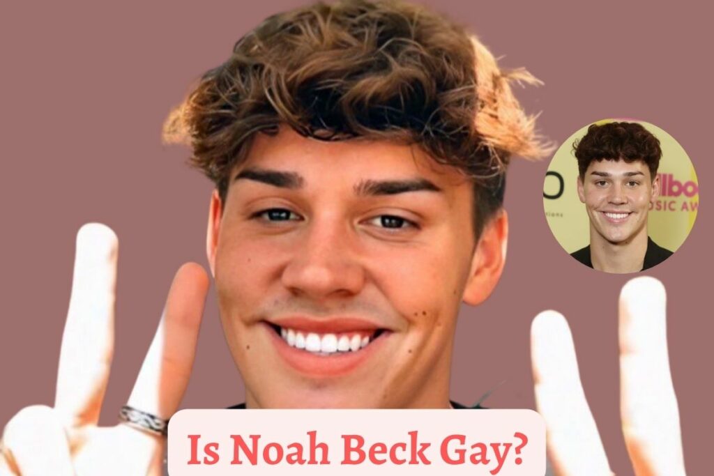 Is Noah Beck Gay?