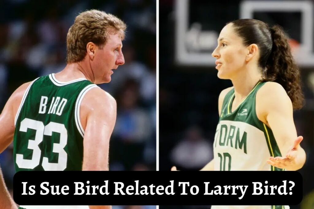 Is Sue Bird Related To Larry Bird