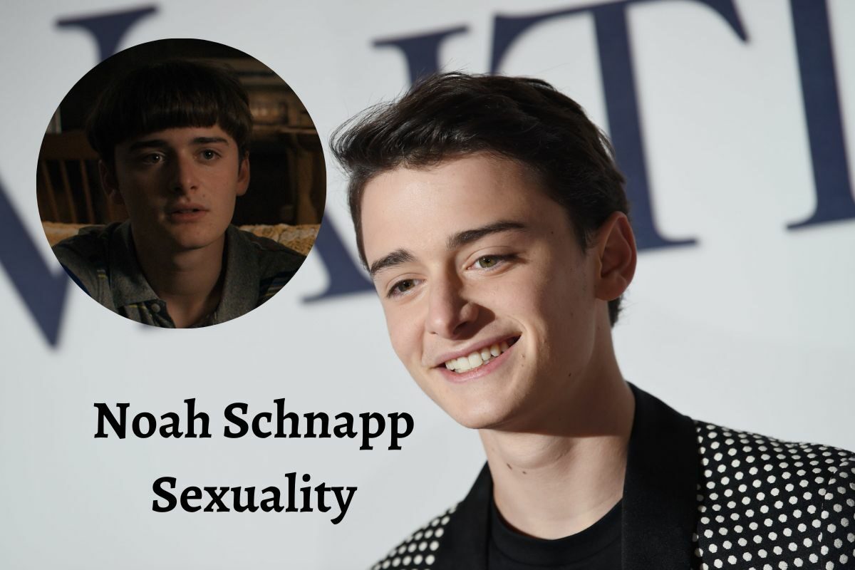 Noah Schnapp Sexuality