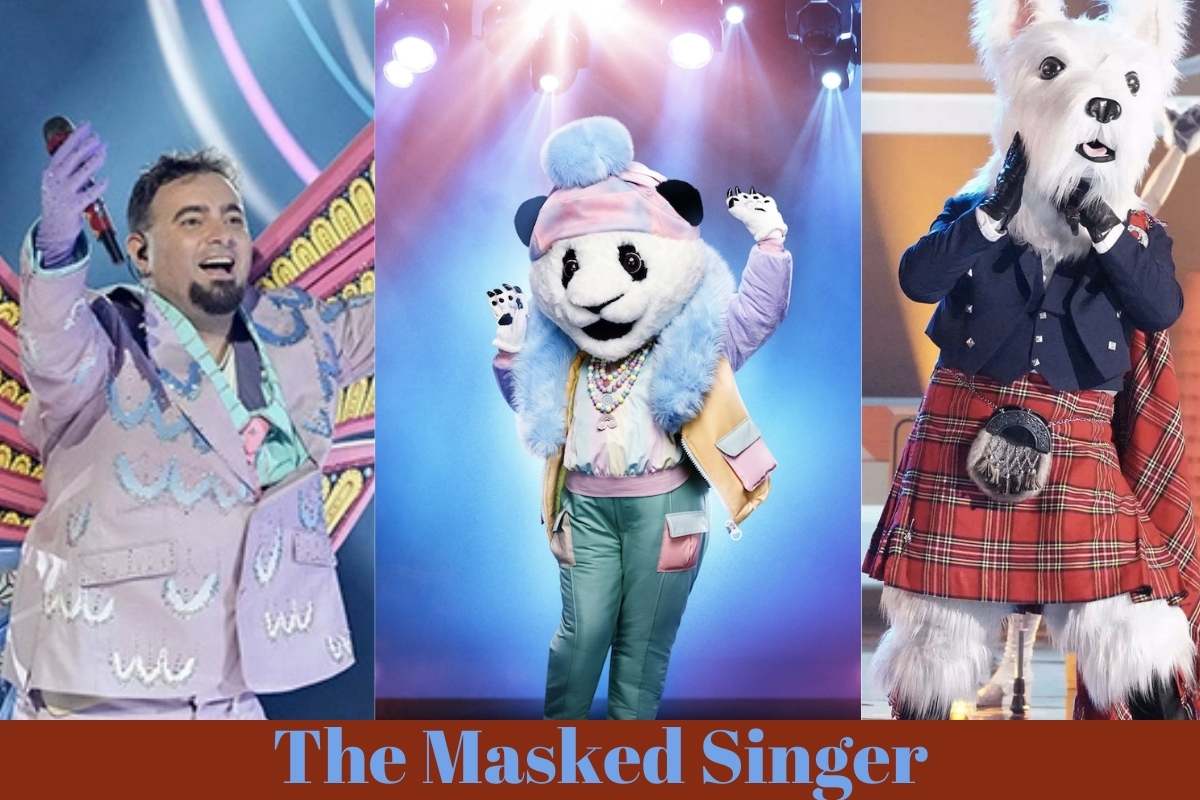 who-is in himmingbird-coustom-the-masked-singer