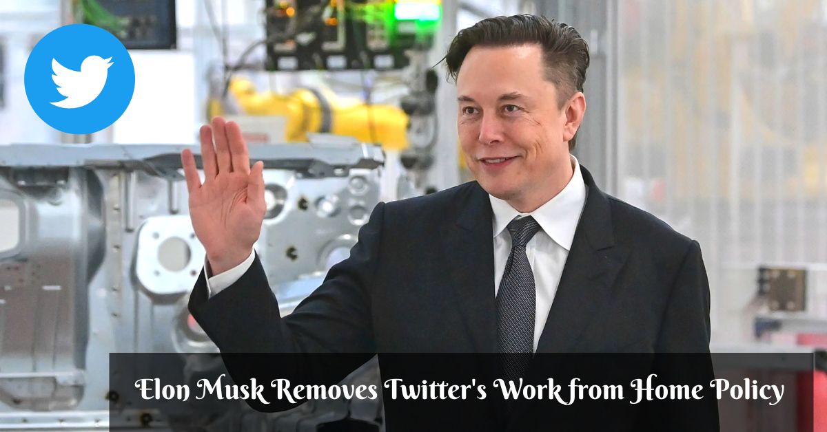 Elon Musk Removes Twitter's Work from Home Policy