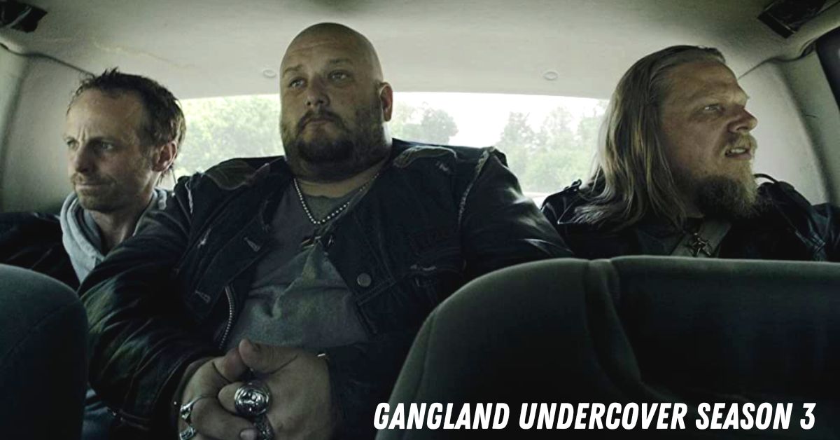 Gangland Undercover Season 3