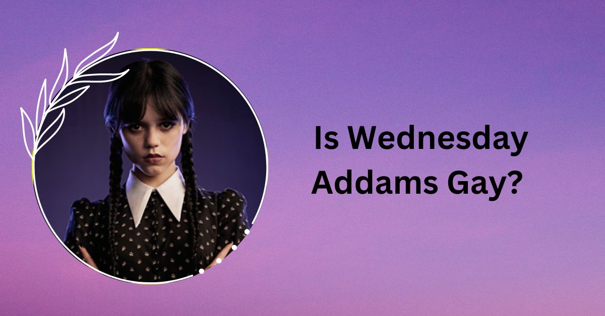 Is Wednesday Addams Gay?