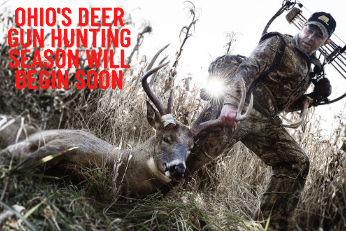 Ohio's Deer Gun Hunting Season Will Begin Soon