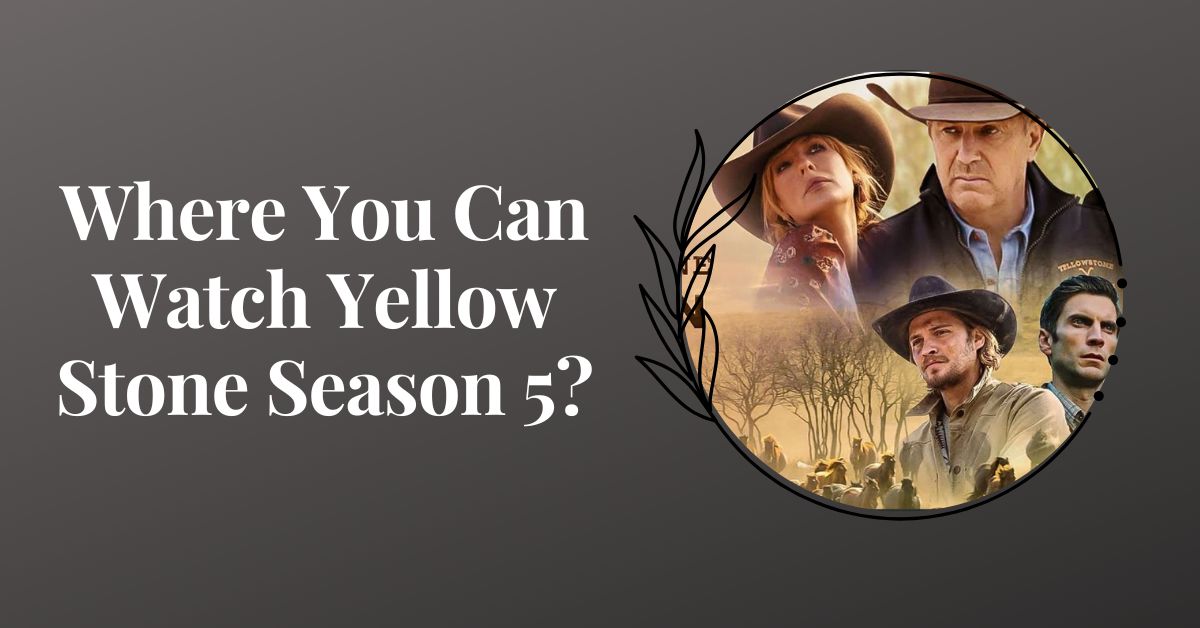 Where You Can Watch Yellow Stone Season 5?