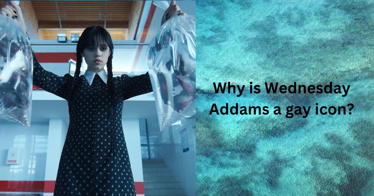 Why is Wednesday Addams a gay icon?