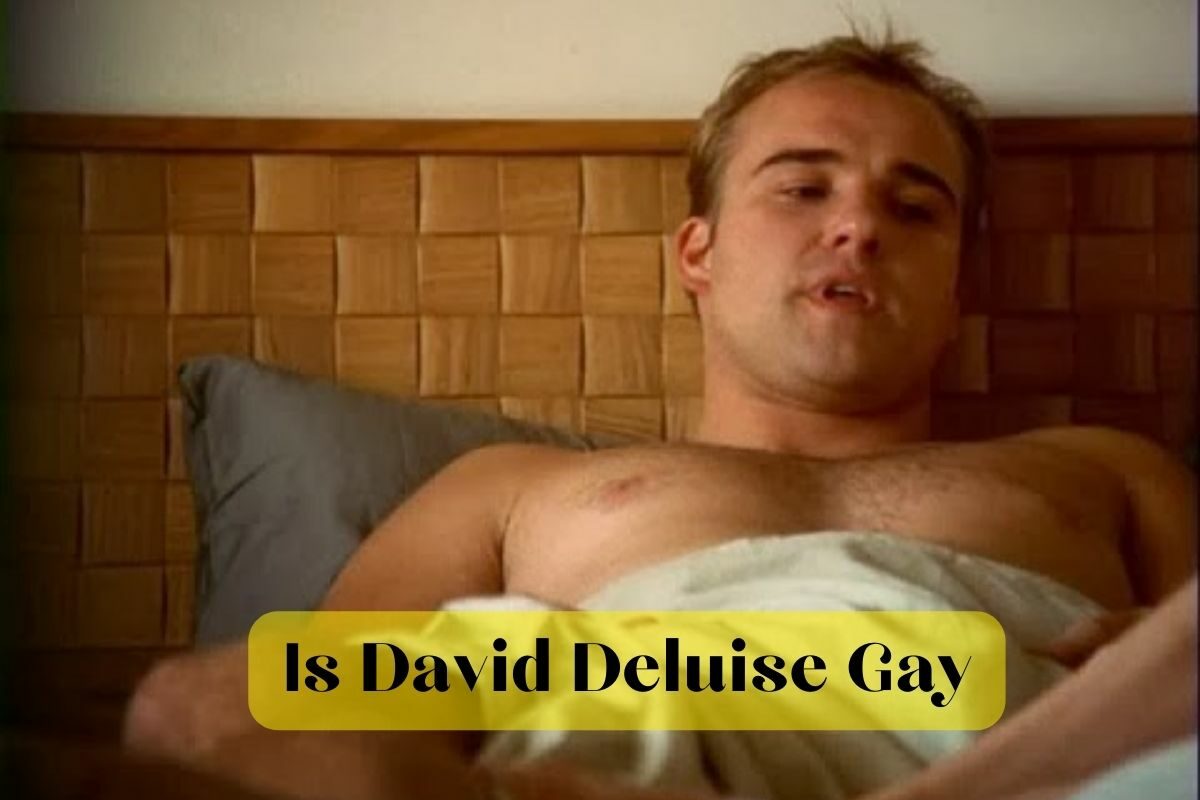 Is David Deluise Gay
