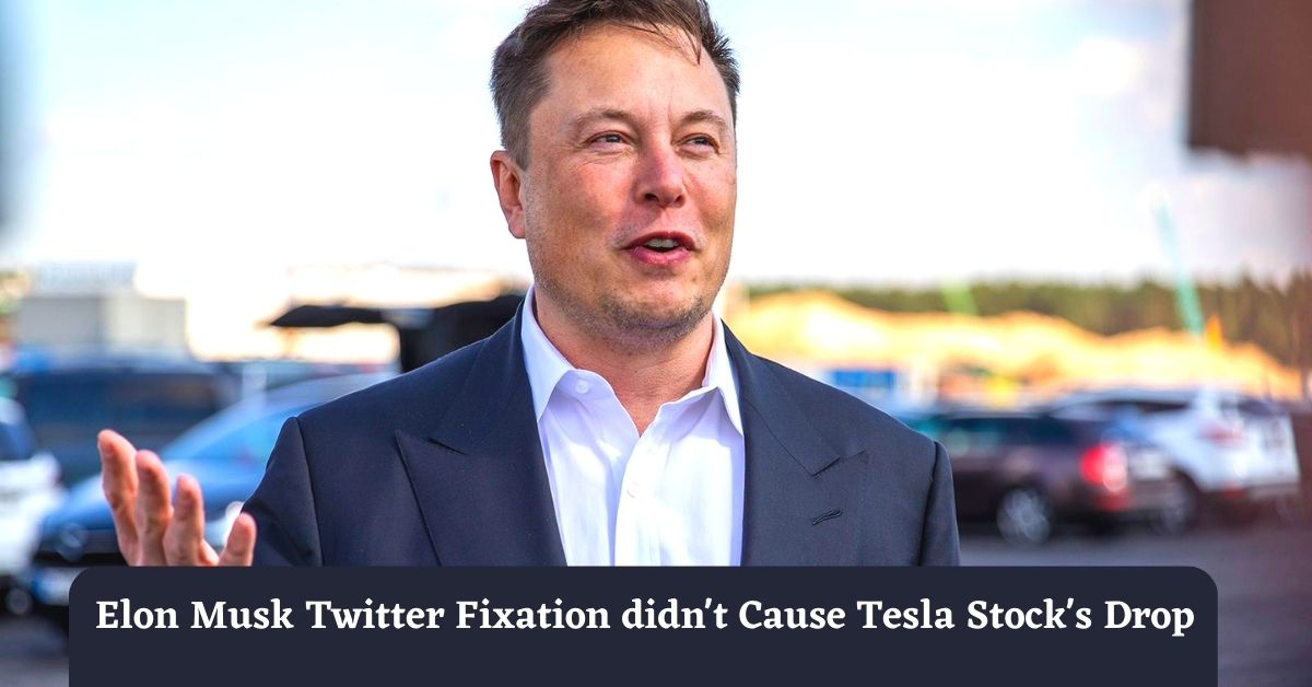 Elon Musk Twitter Fixation Didn't Cause Tesla Stock's Drop