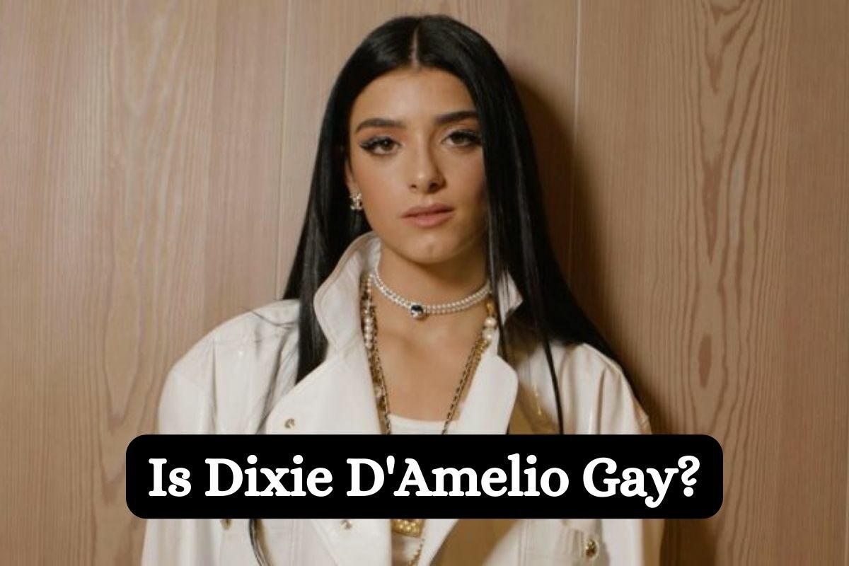 Is Dixie D'Amelio Gay?