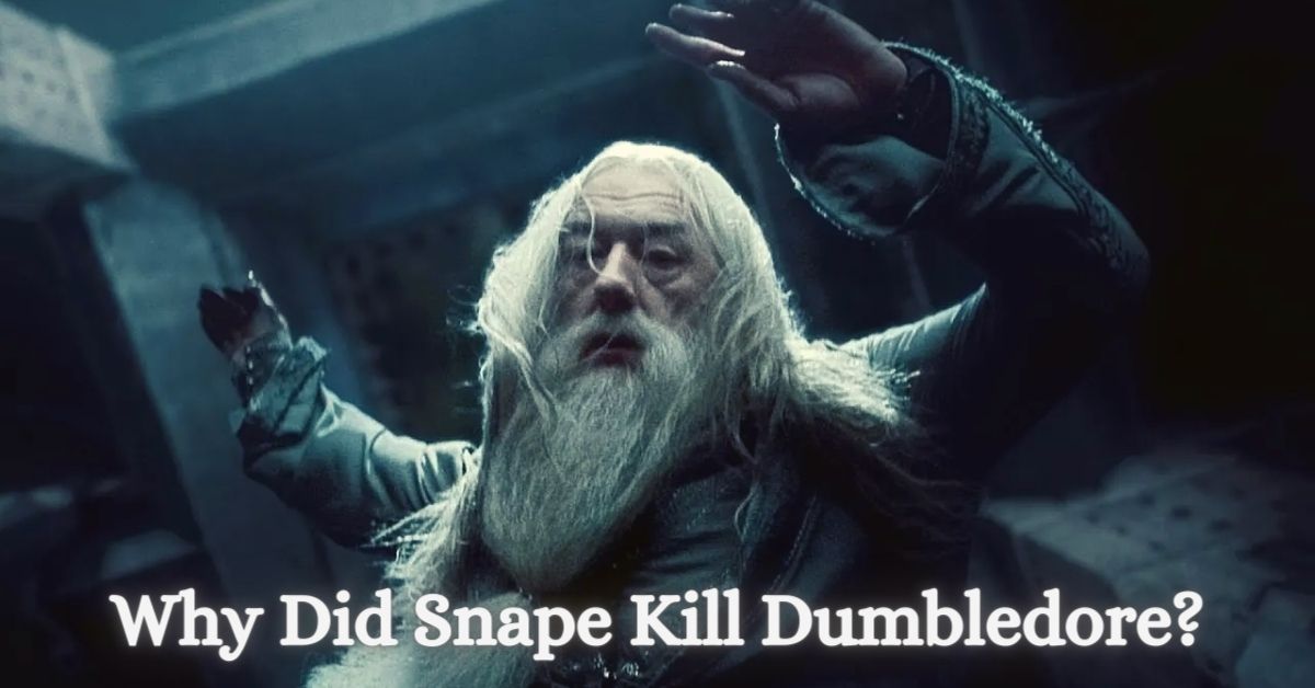 Why Did Snape Kill Dumbledore?