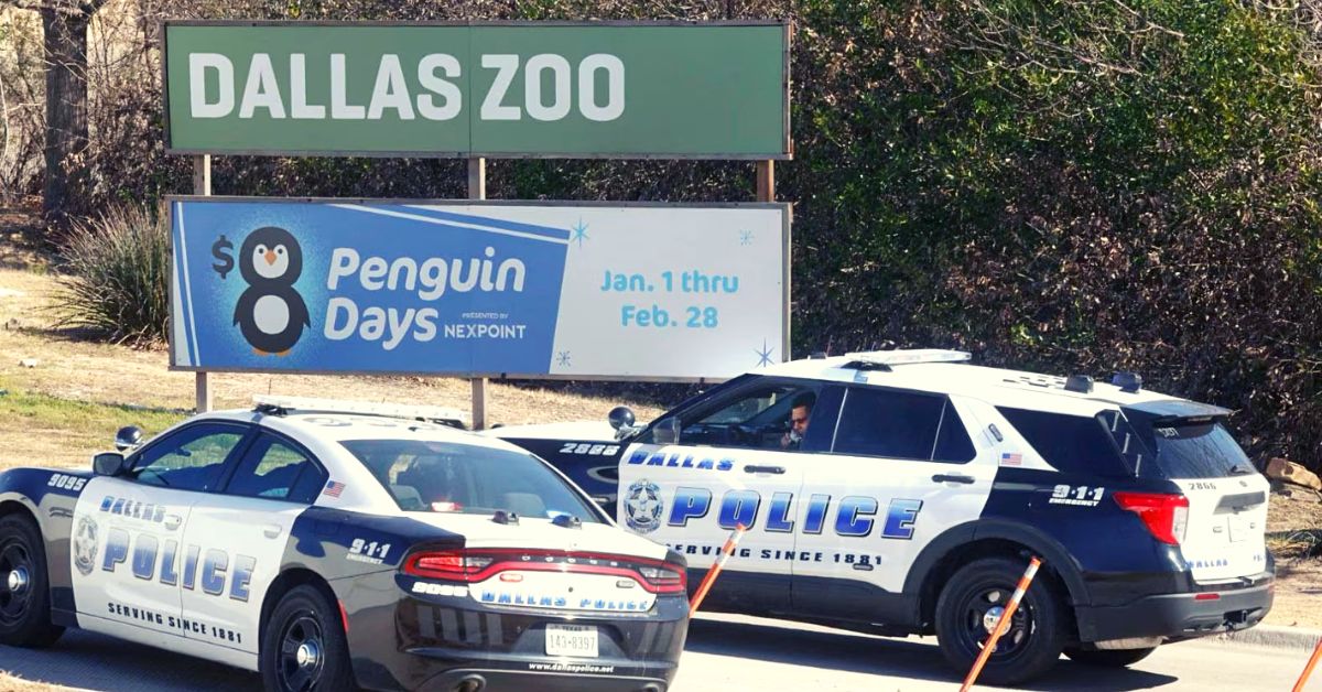 Dallas Zoo Police Examine Suspicious Vulture Death 