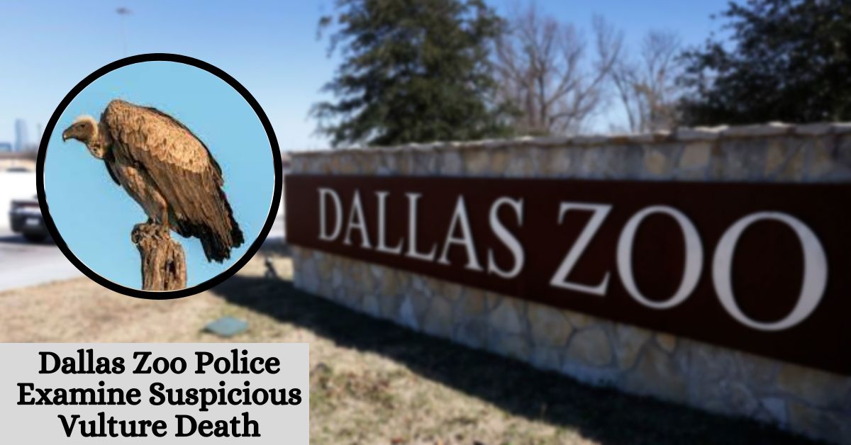 Dallas Zoo Police Examine Suspicious Vulture Death