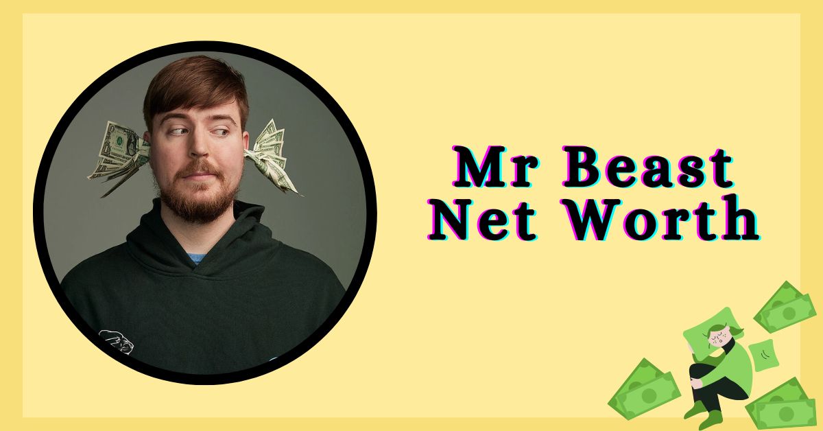 Mr Beast Net Worth Is He One Of The Richest Youtuber? Venture jolt