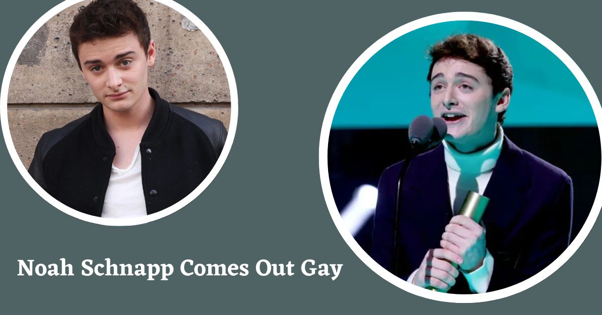 Noah Schnapp Comes Out Gay