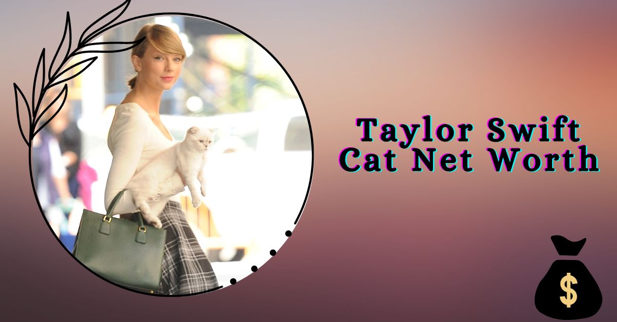 Taylor Swift Cat Net Worth