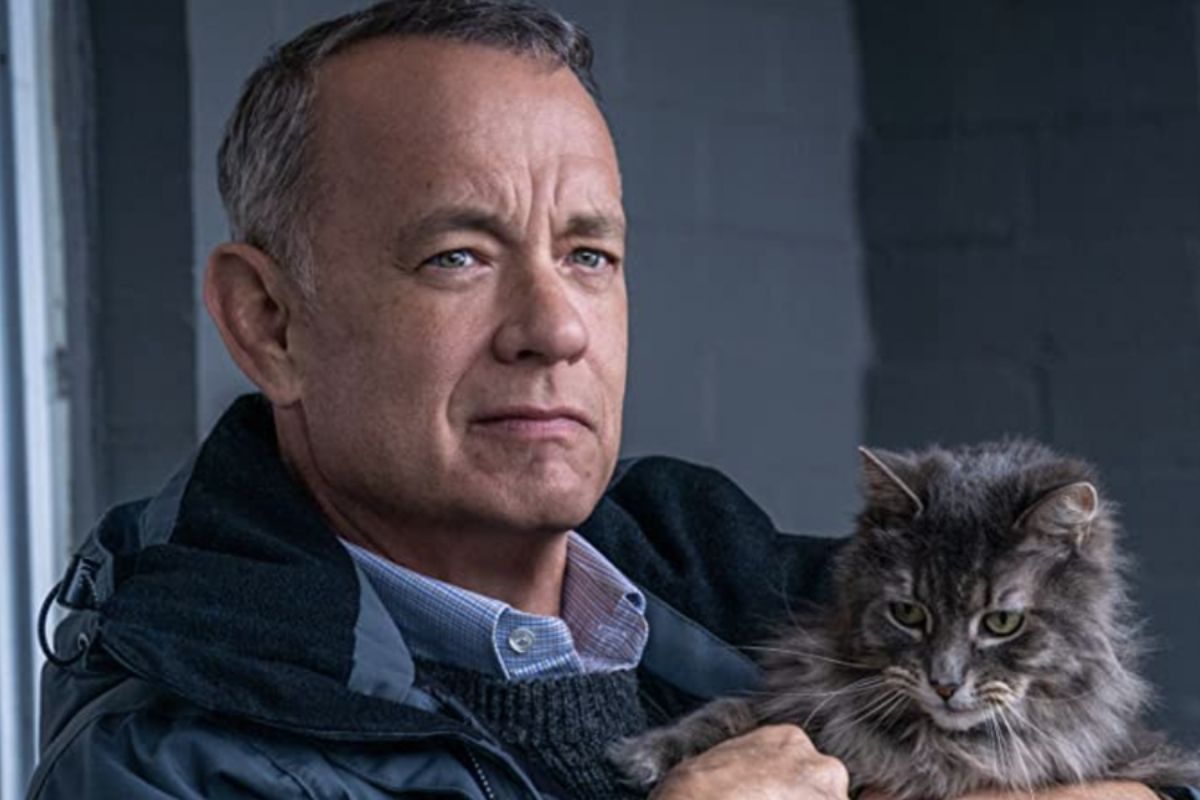 Where to Watch and Stream Tom Hanks' Movie 