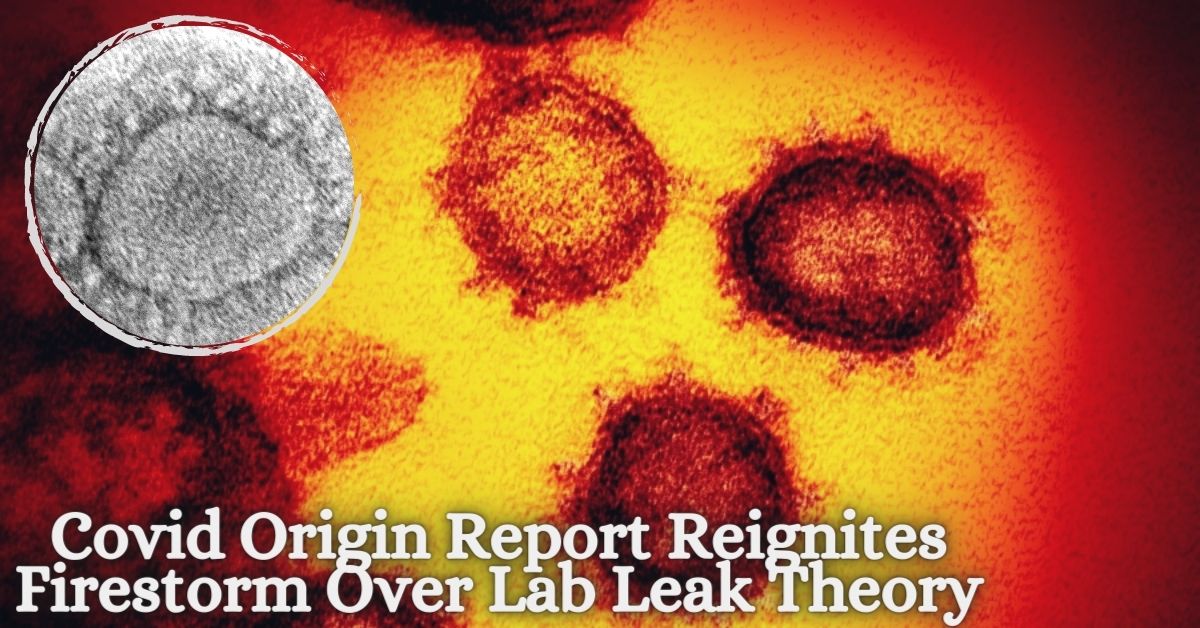 Covid Origin Report Reignites Firestorm Over Lab Leak Theory