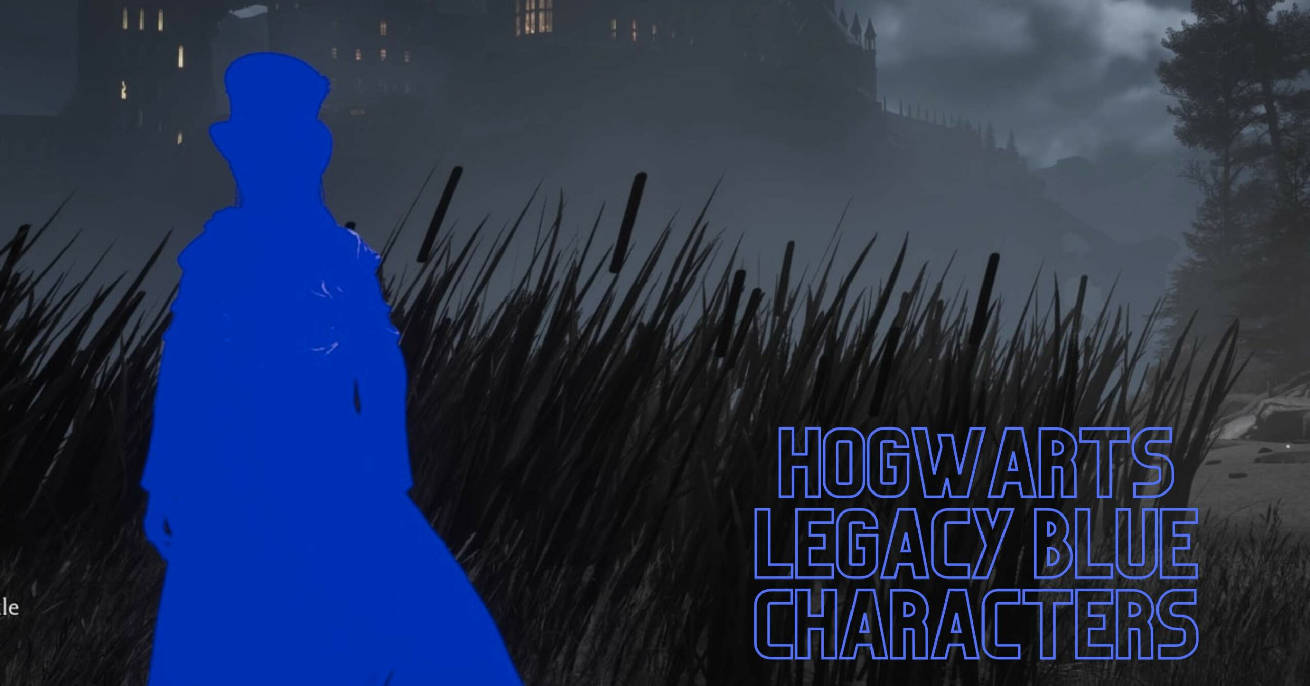 Hogwarts Legacy Blue Characters