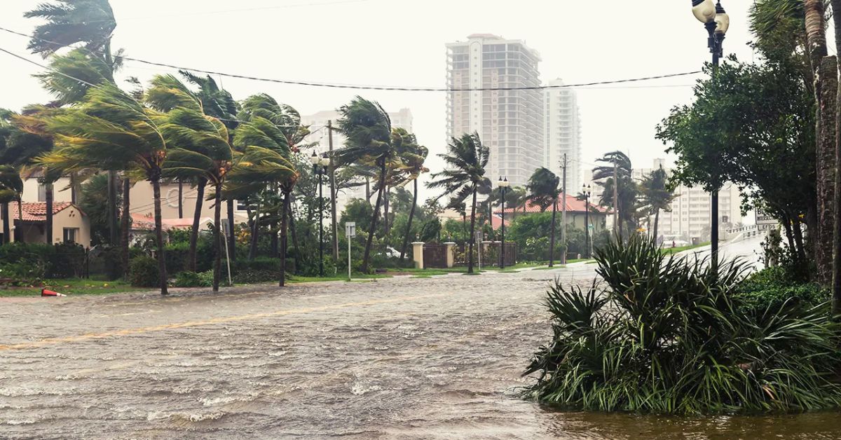 Hurricane Season in Florida 