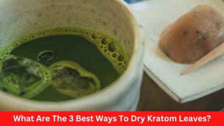 What Are The 3 Best Ways To Dry Kratom Leaves?
