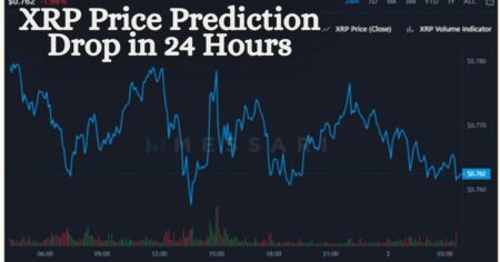 XRP Price Prediction Drop in 24 Hours