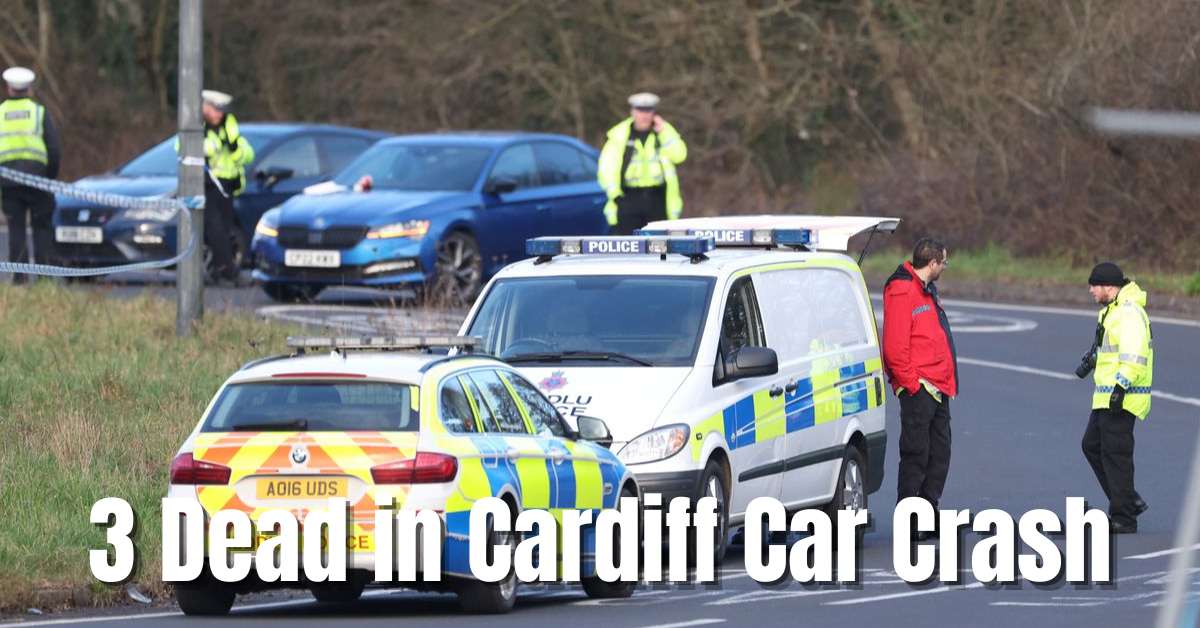 3 Dead in Cardiff Car Crash