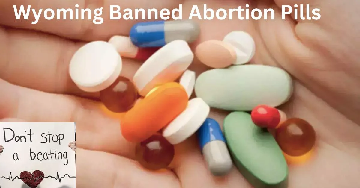 Wyoming Banned Use of Abortion Pills