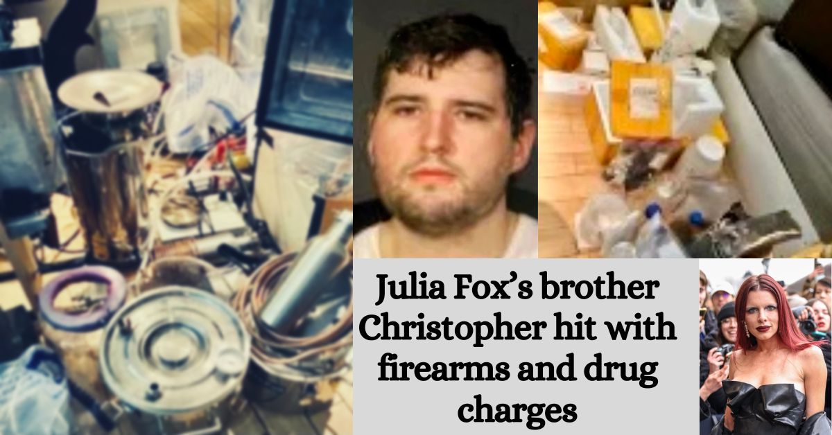 Julia Fox’s brother Christopher hit with firearms and drug charges