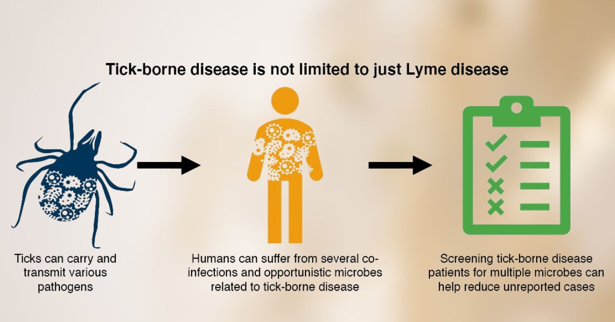 Tick Borne Disease 