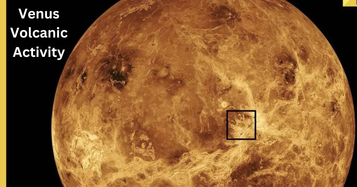 Venus Volcanic Activity