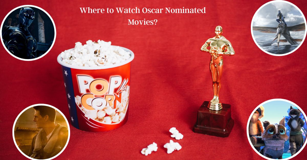 Where Can You Watch 2023 Oscar Nominated Movies? Venture jolt