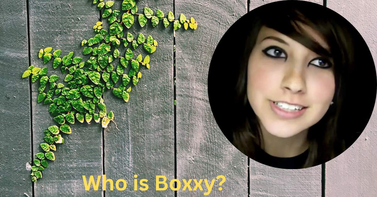 Who is Boxxy?